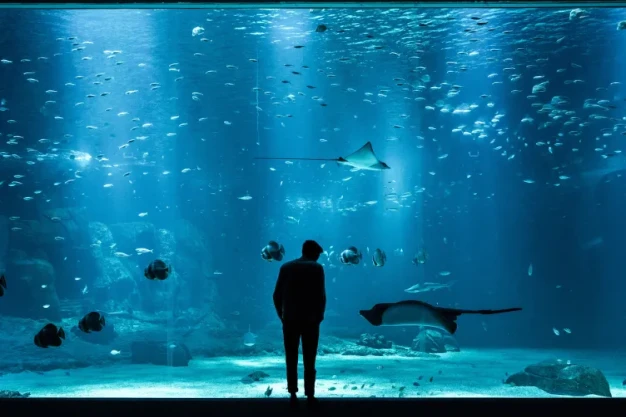 Perfect balance of adventure and learning